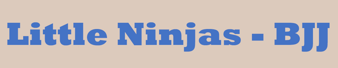 Little Ninjas – BJJ